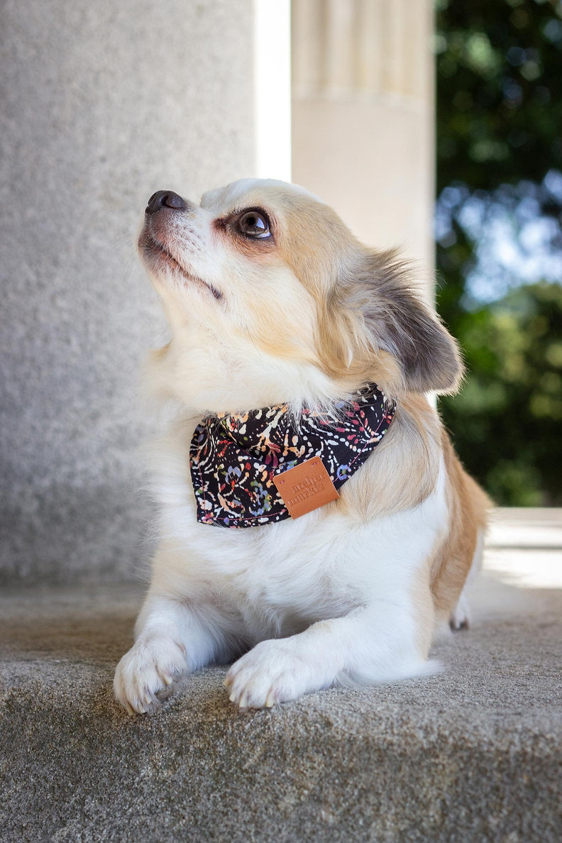 Lennon Bandana