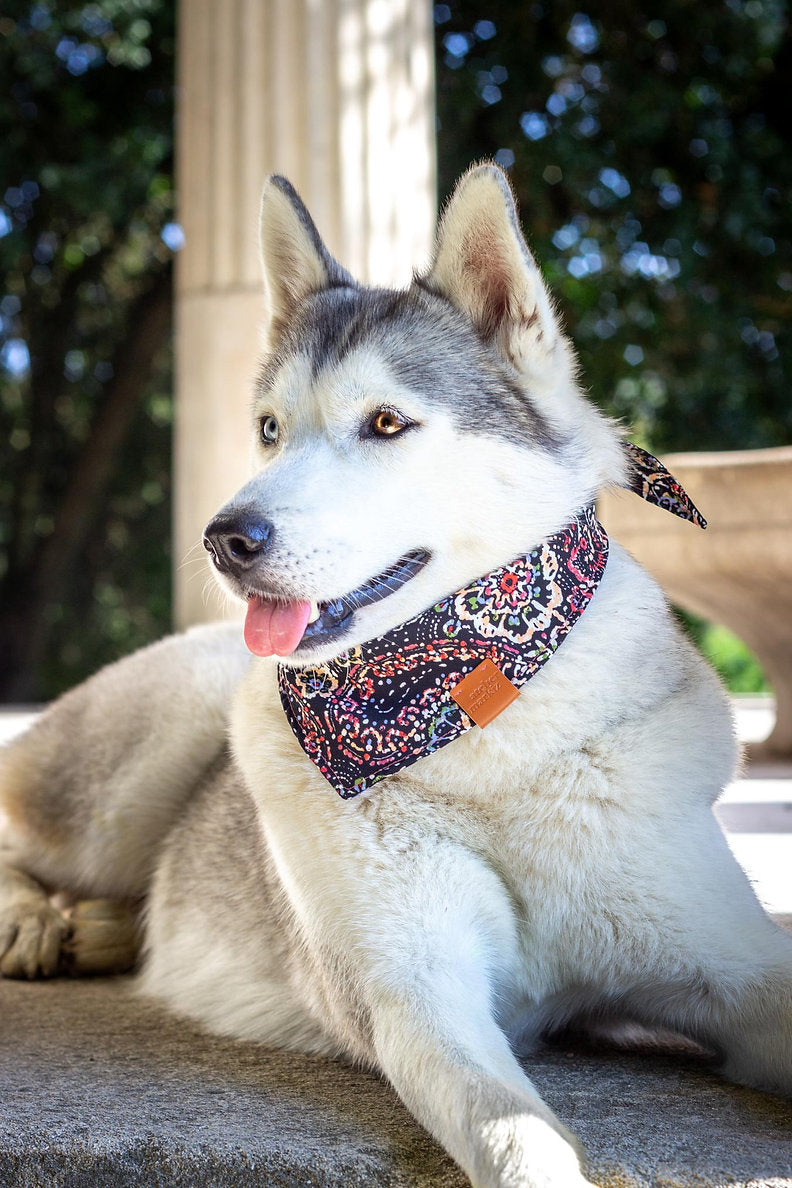 Lennon Bandana