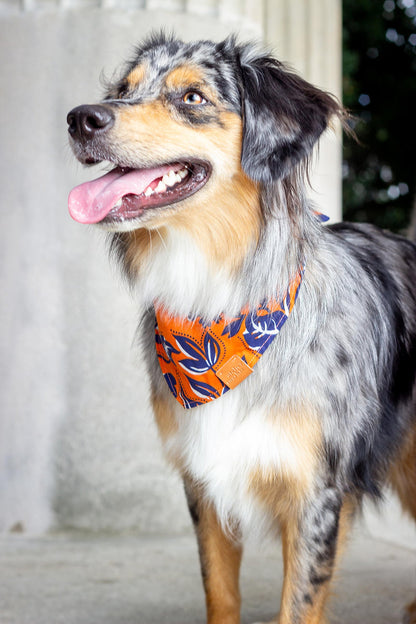 Indian Bandana