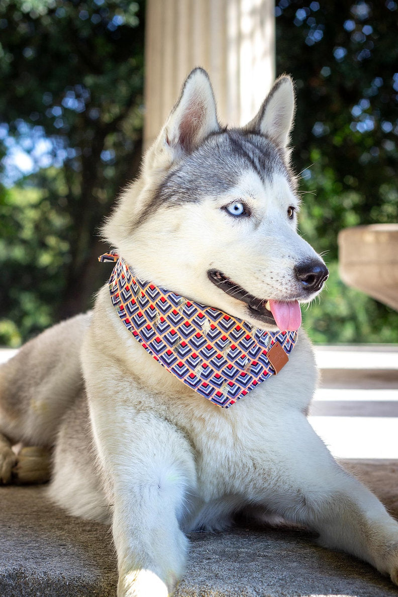 Bandana Bastille