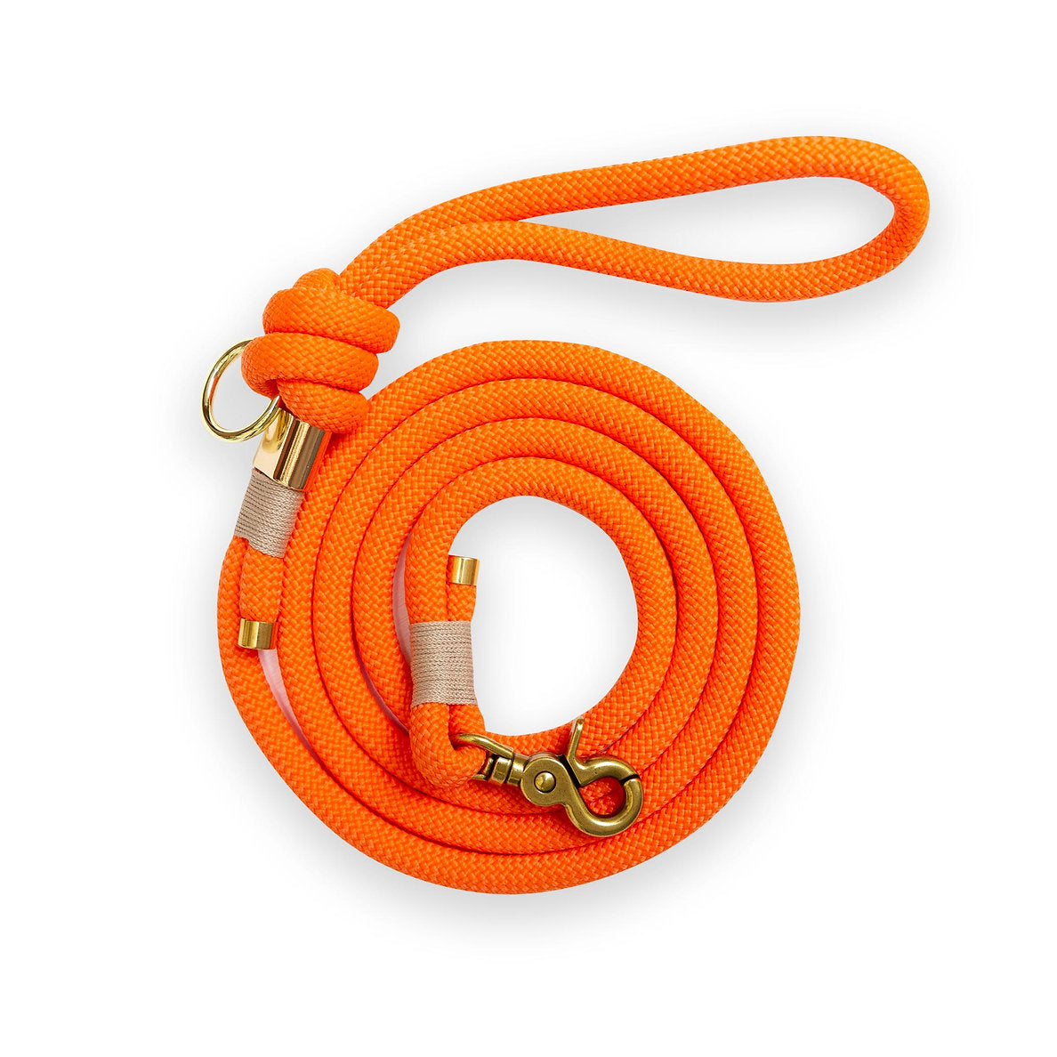 Orange leash