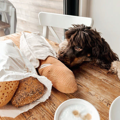 Baguette de fouille