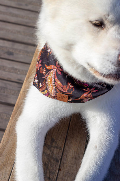 Bandana Kashmir