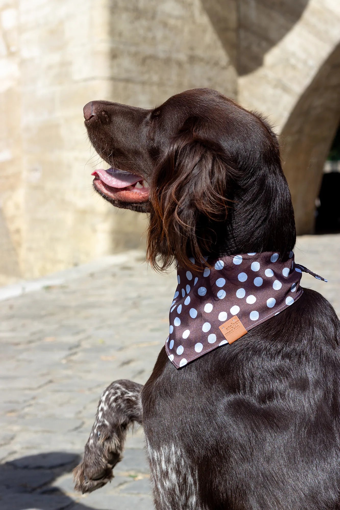 Bandana Bowie