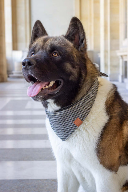 Bandana Cambon