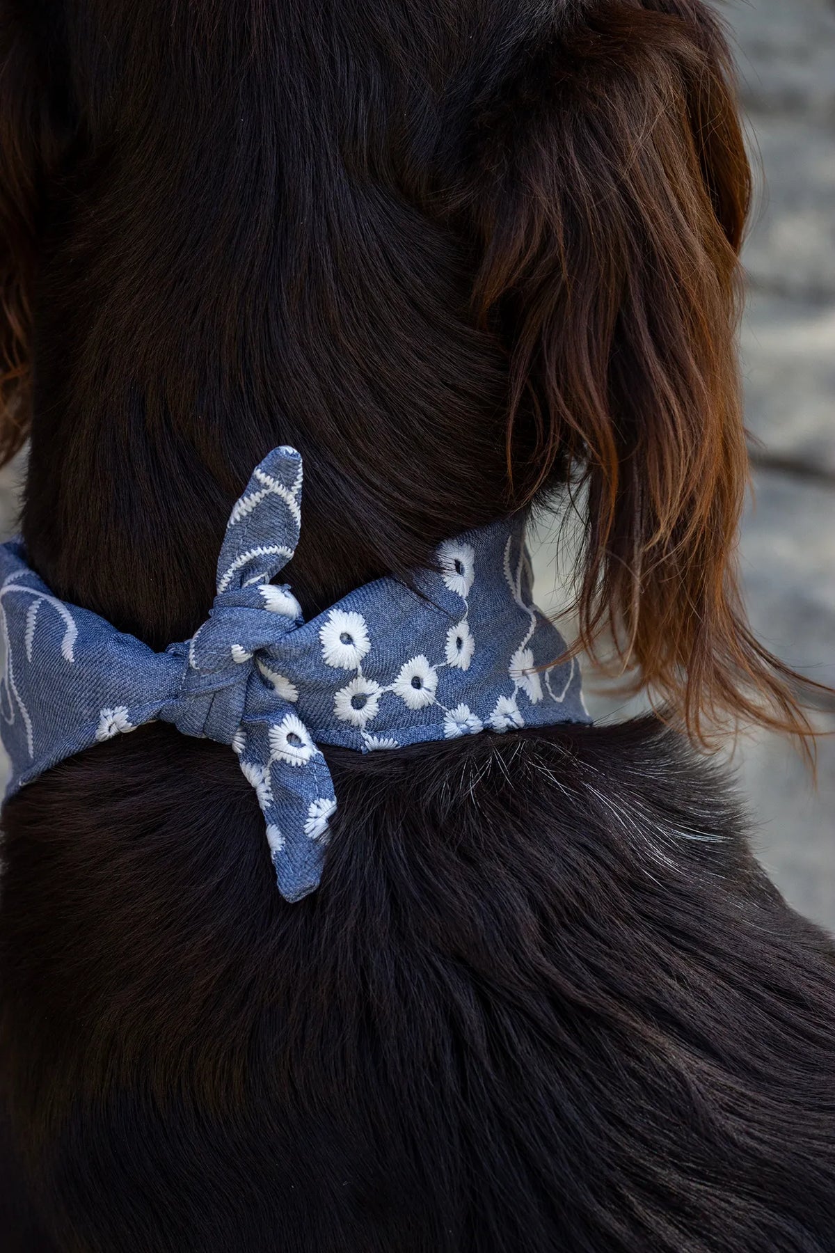 Bandana Gipsy