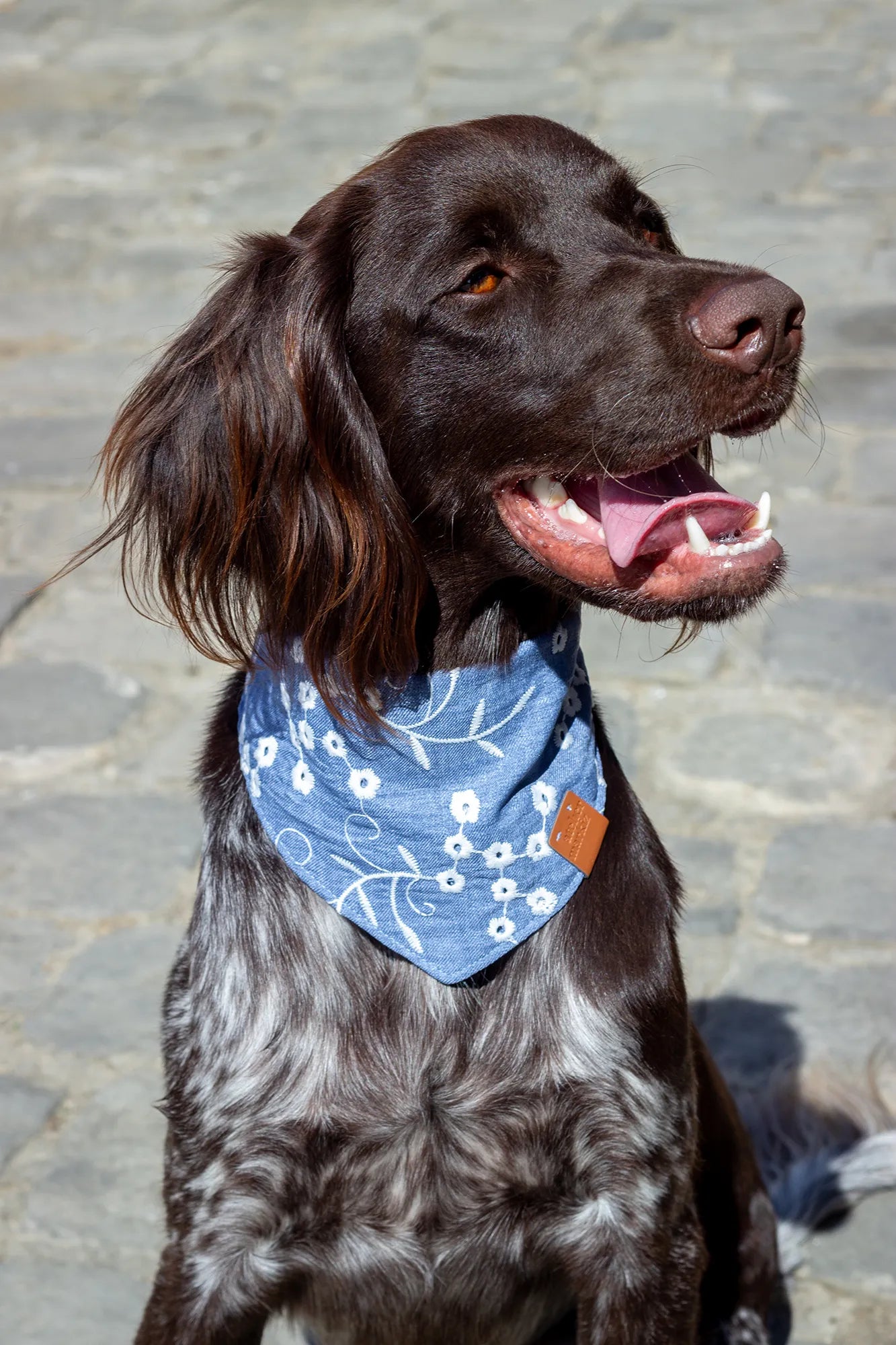 Bandana Gipsy