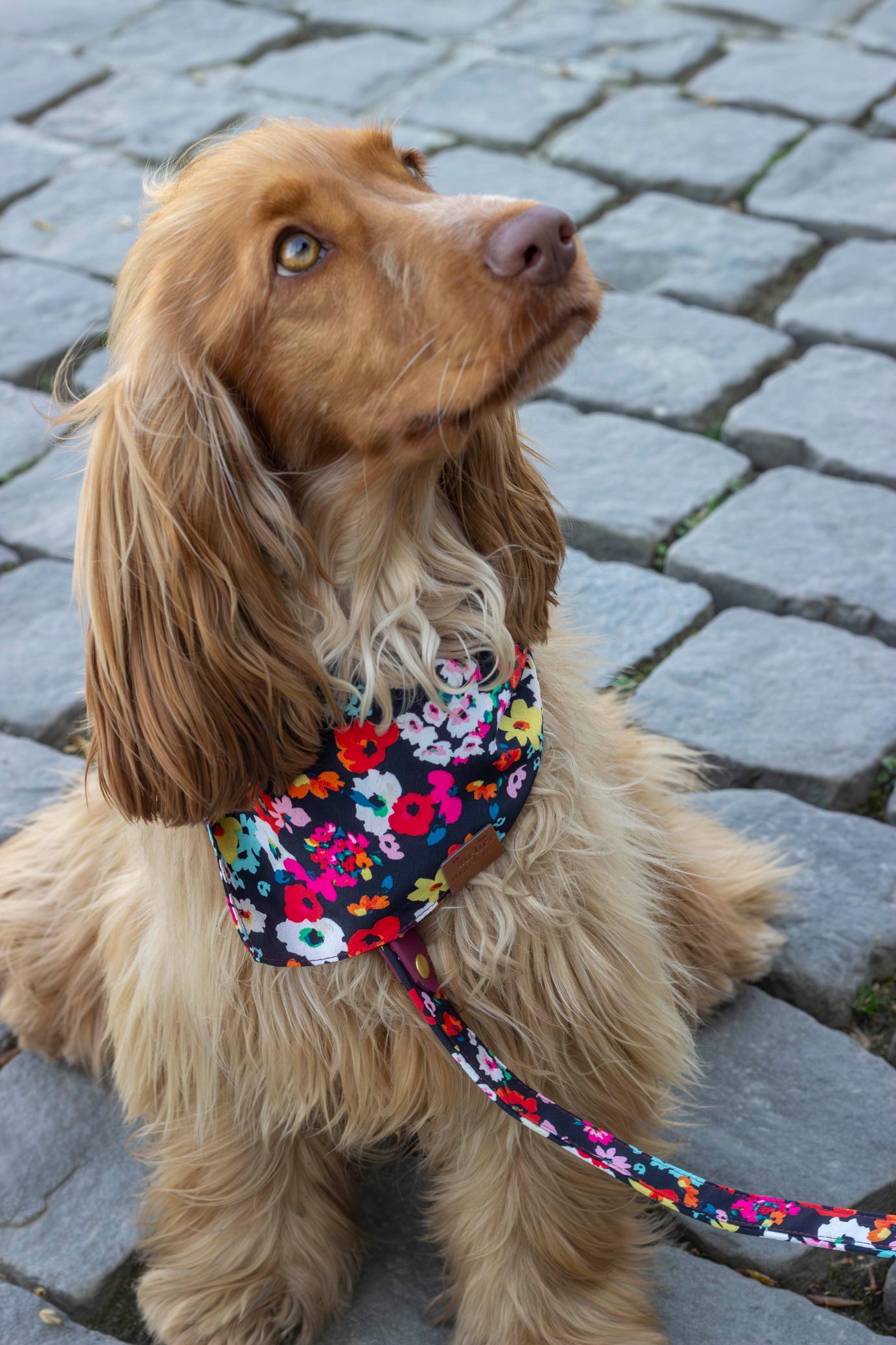 Bandana Carmen