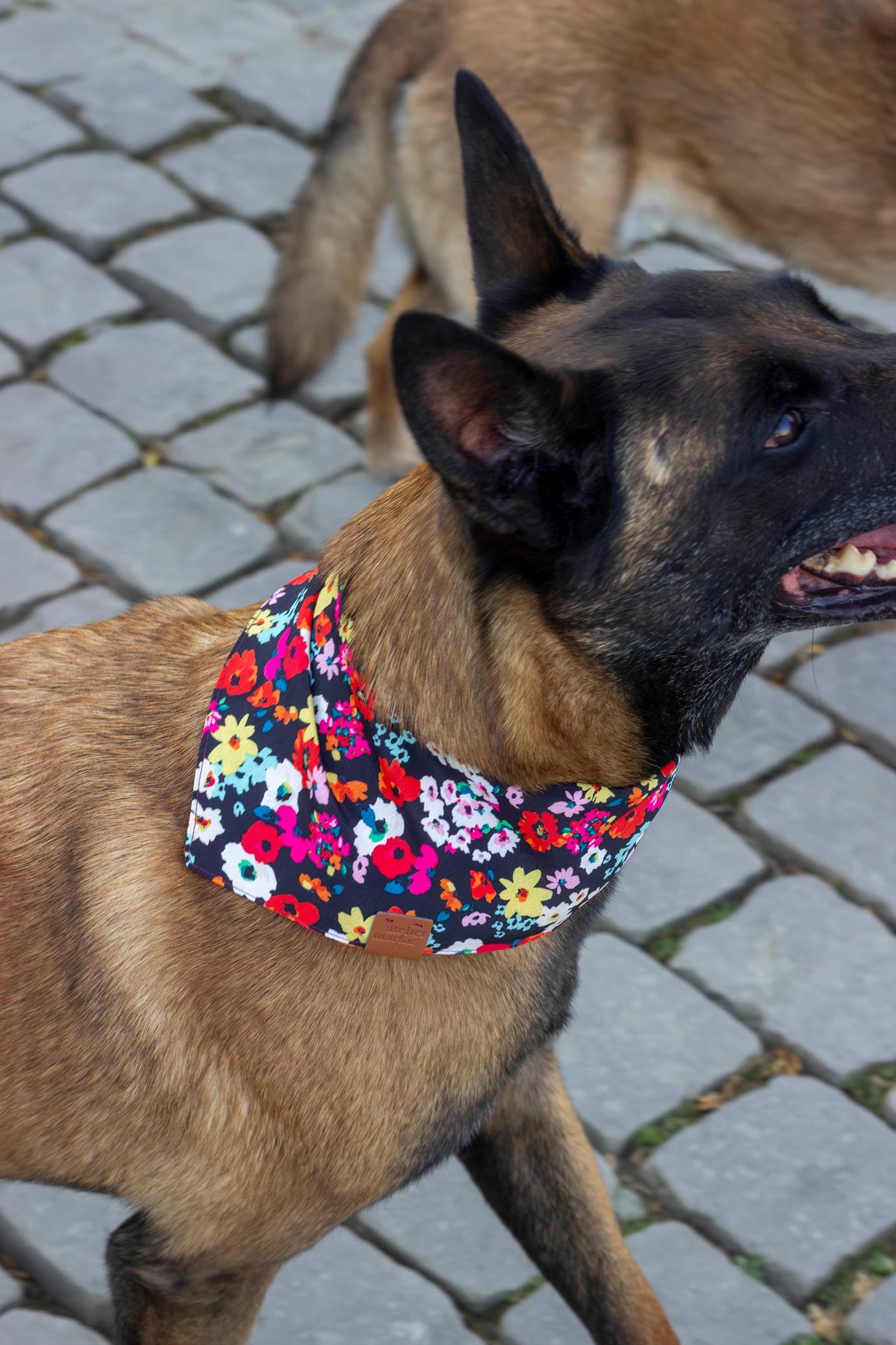 Bandana Carmen