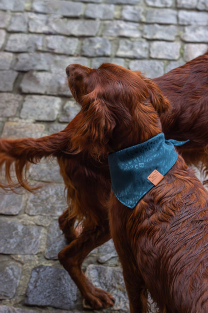 Un chien de race setter porte un bandana pour chien à motif léopard ton sur ton vert émeraude