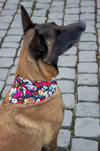 Bandana Carmen