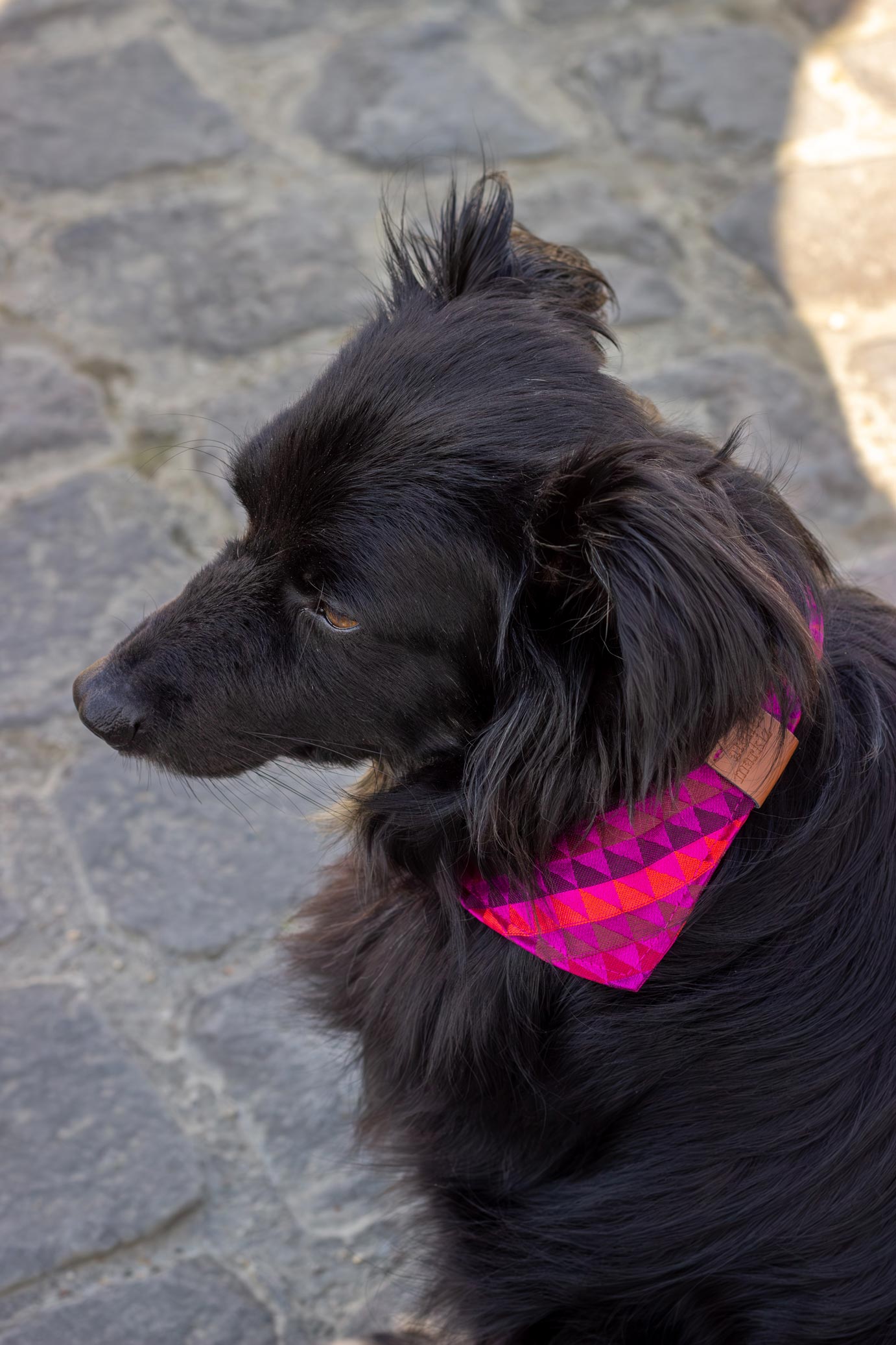Bandana Rio