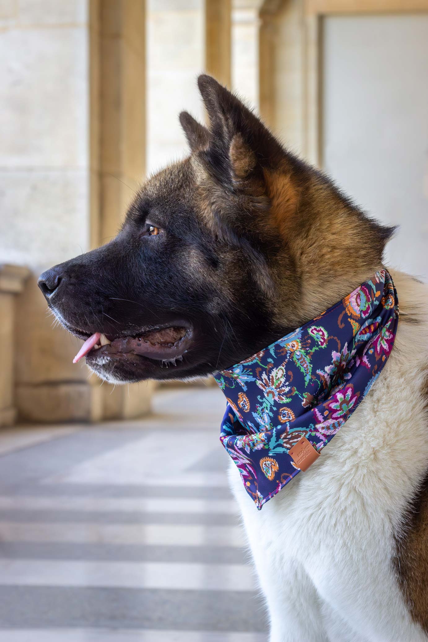 Bandana Folk