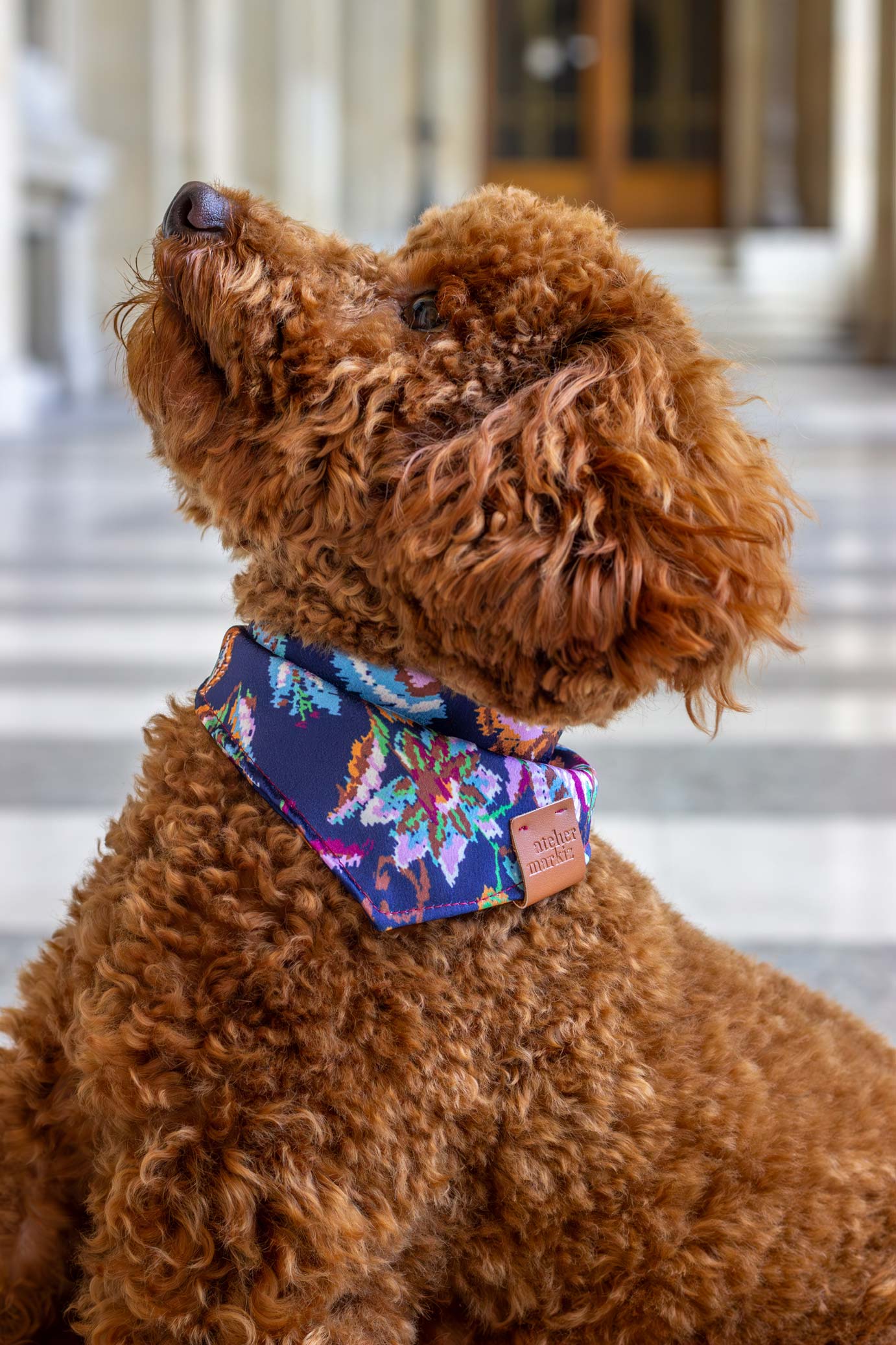 Bandana Folk