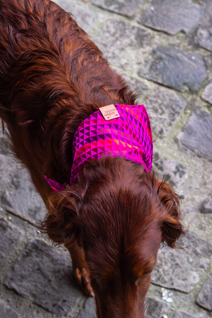 Bandana Rio