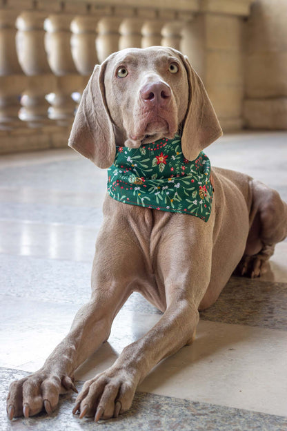 Bandana Mistletoe