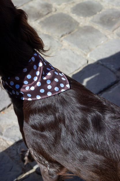 Bandana Bowie