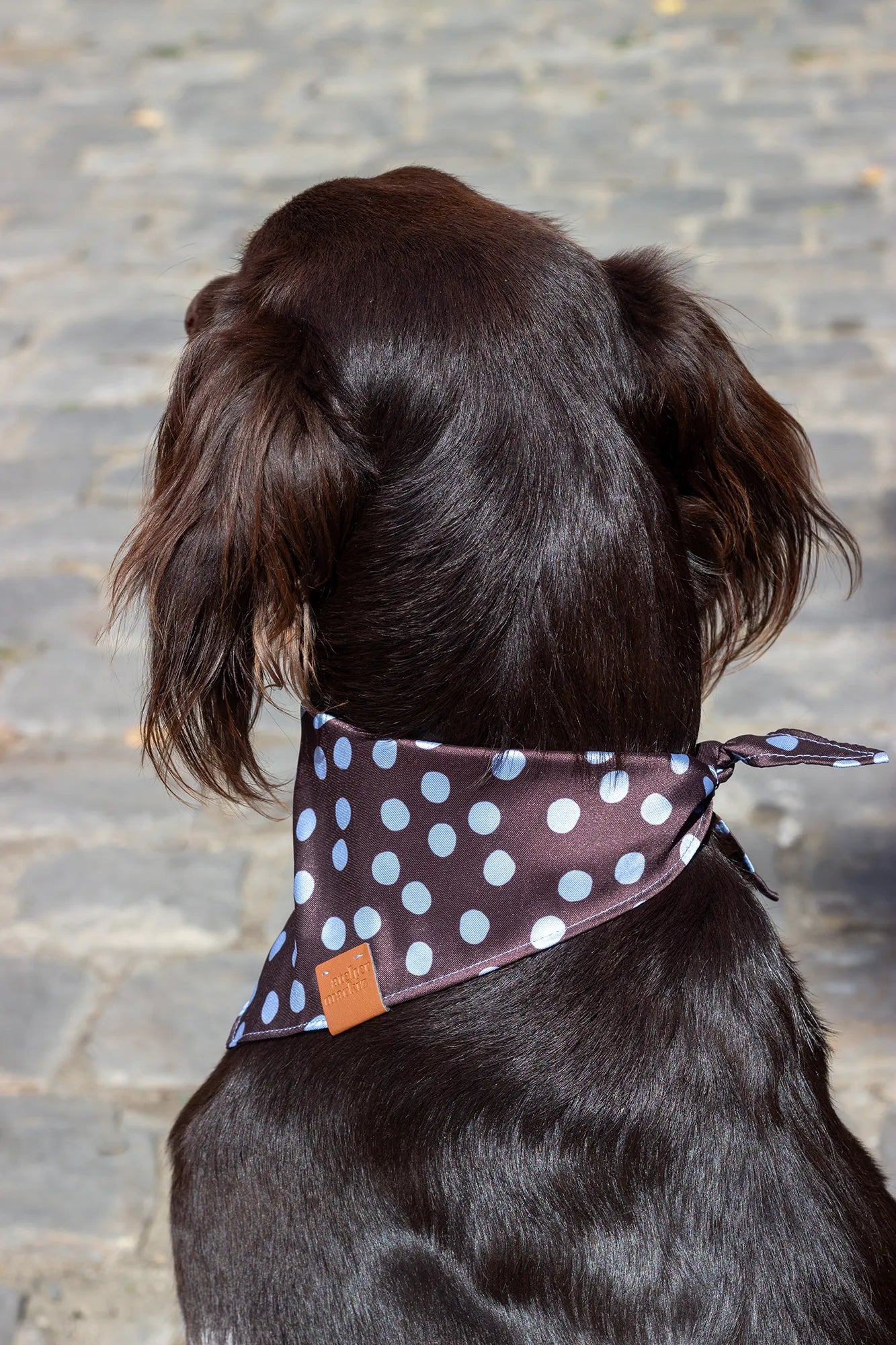 Bandana Bowie