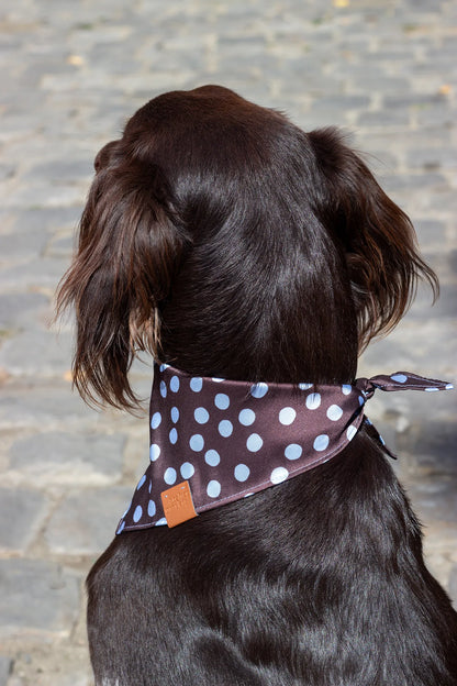 Bandana Bowie