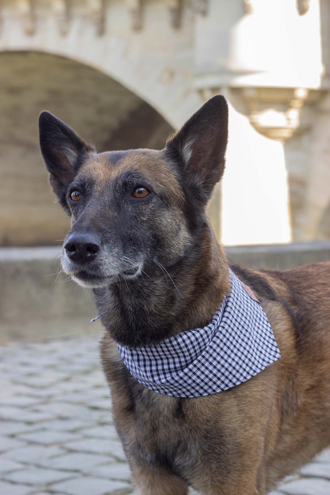 Bandana Madrague