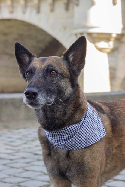 Bandana Madrague