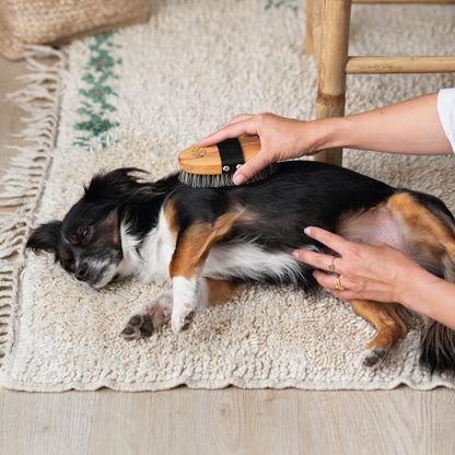 Brosse pour poils courts