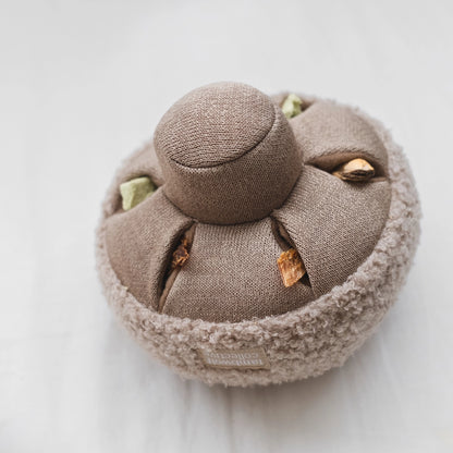 Champignon de fouille