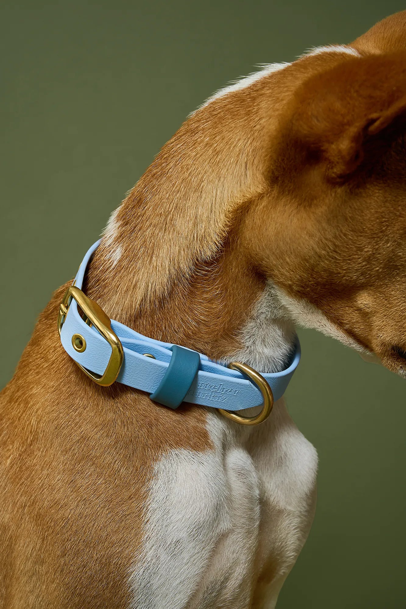 Collier imperméable Bleu Polaire