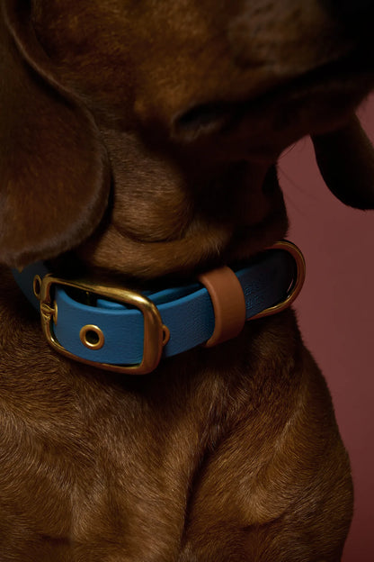 Collier imperméable Bleu Pétrole