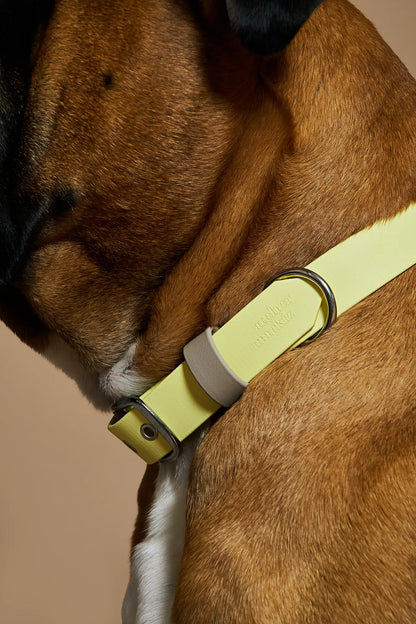 Collier imperméable Jaune Pastel