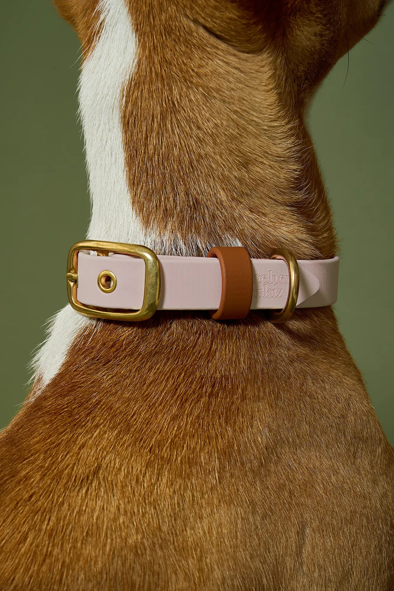 Collier imperméable Tan