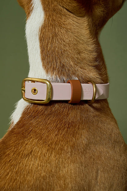 Collier imperméable Tan