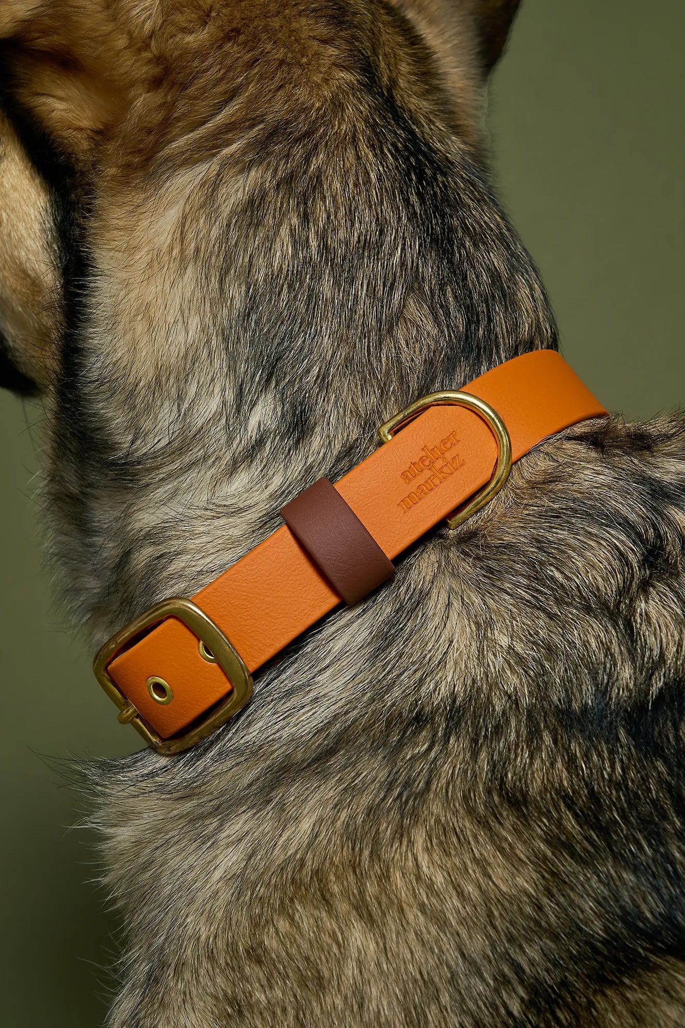 Collier imperméable Tangerine