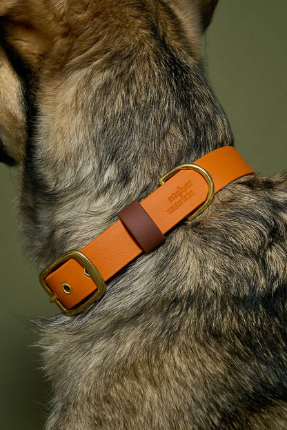 Collier imperméable Tangerine