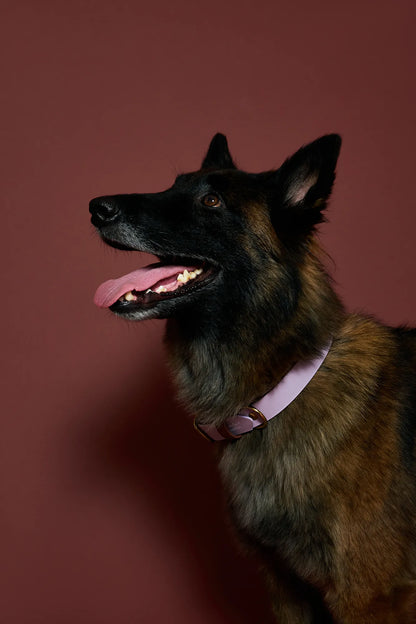 Collier imperméable Parme