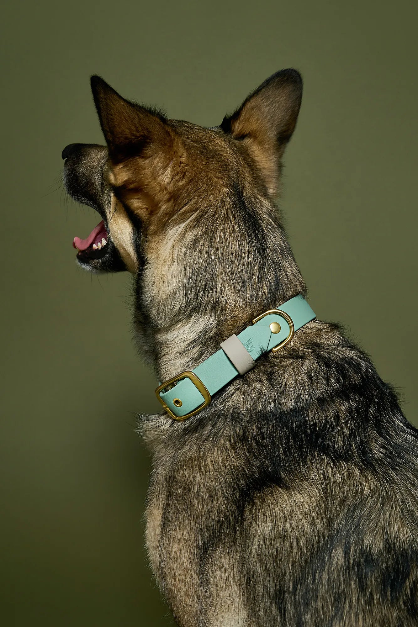 Collier imperméable Sauge
