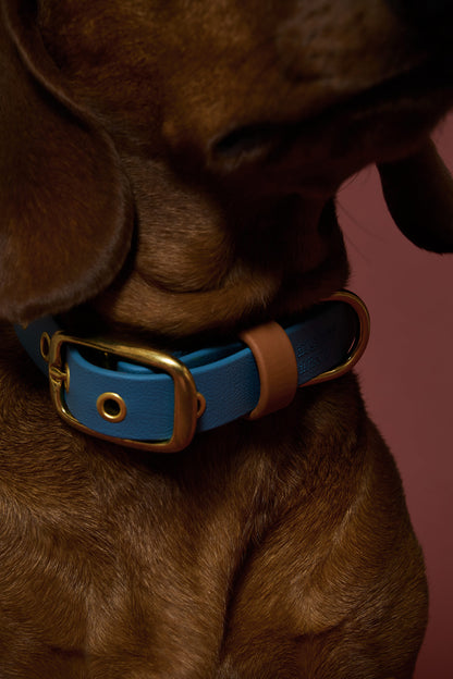 Collier imperméable Bleu Pétrole