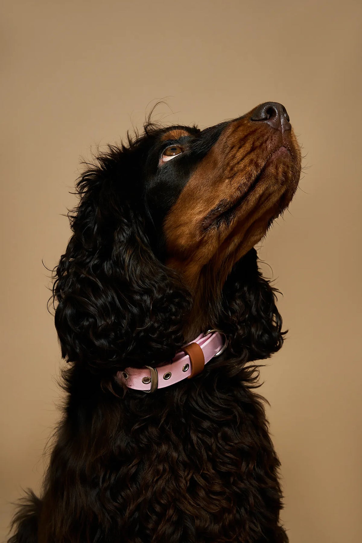 Collier imperméable Blush