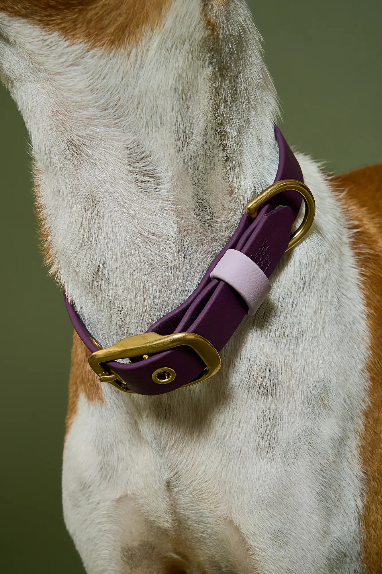 Collier imperméable Plum