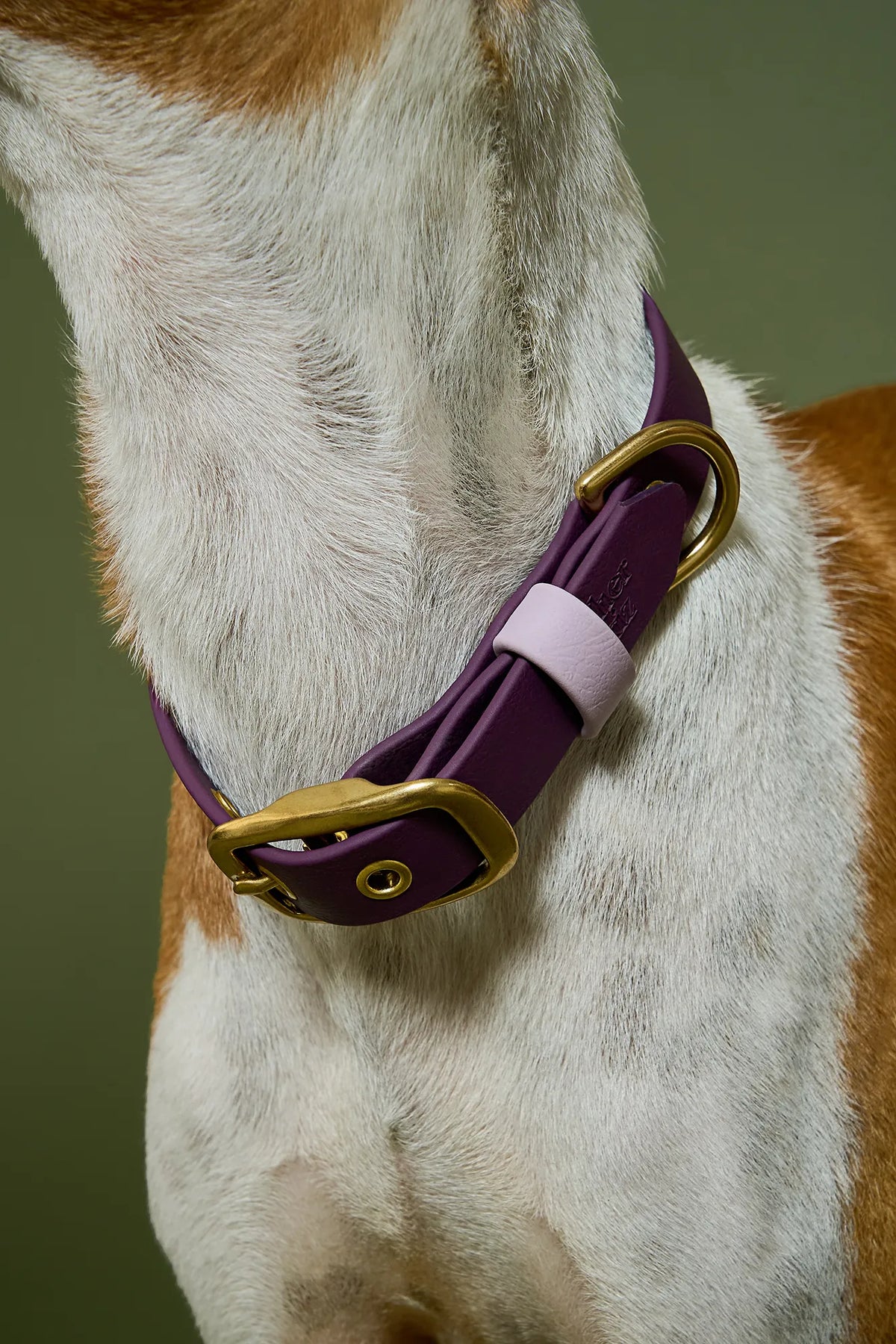Collier imperméable Plum