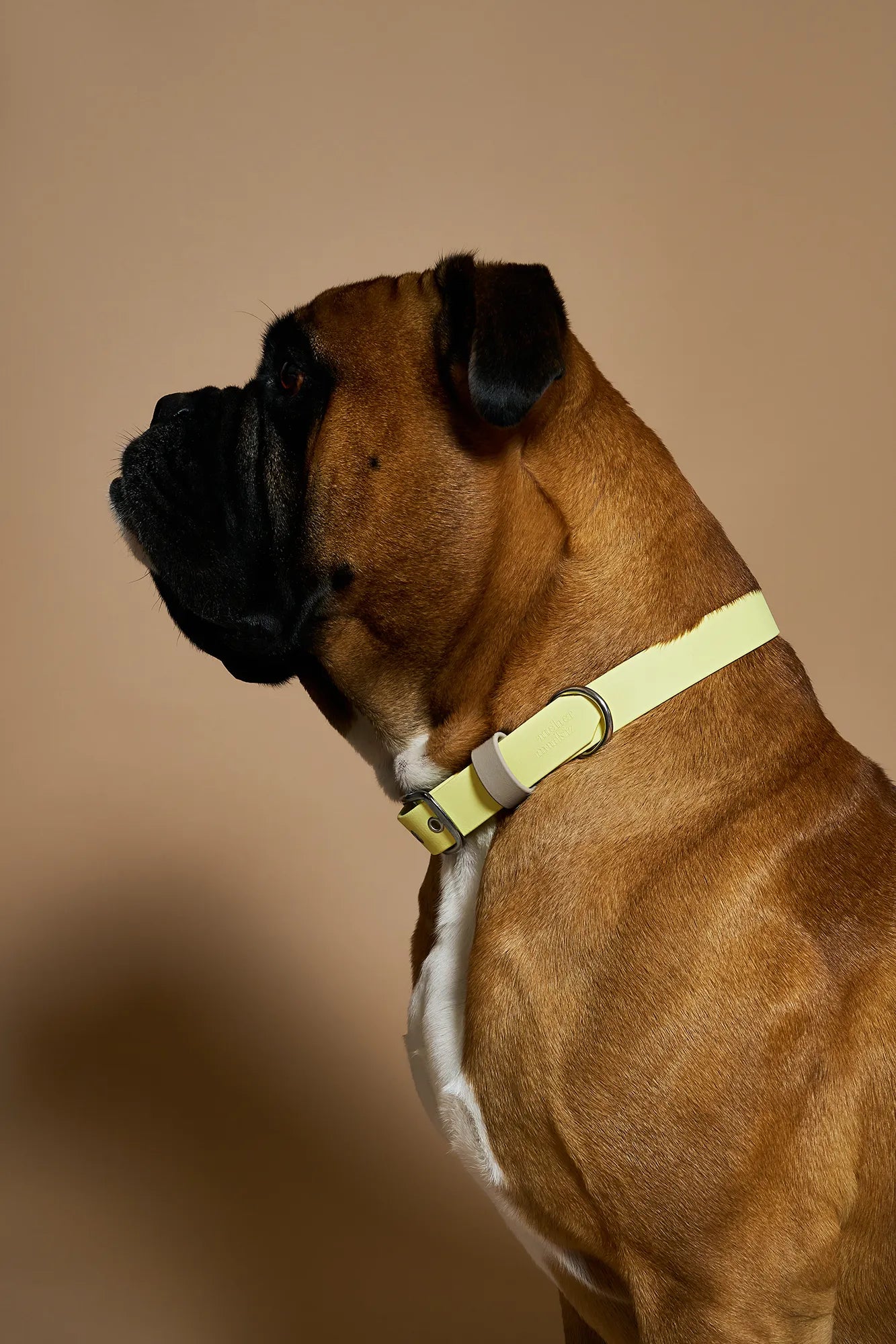 Collier imperméable Jaune Pastel