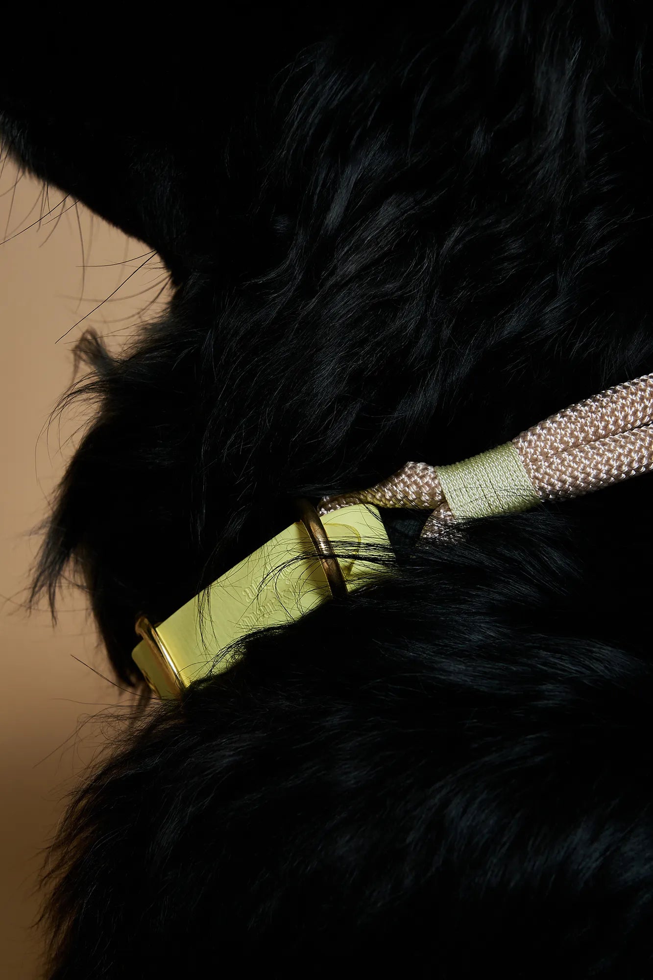 Collier Oslo