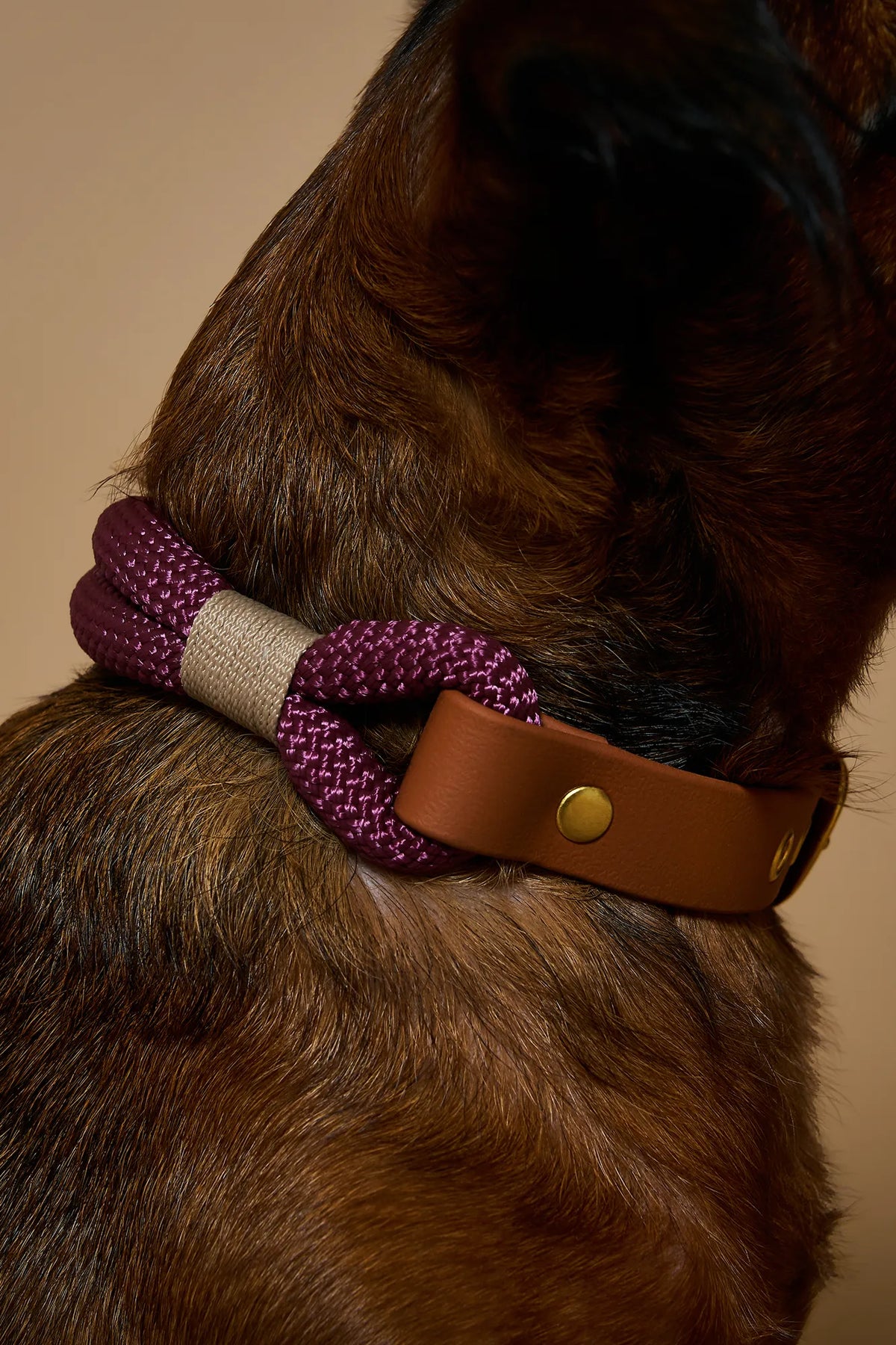 Collier Pourpre