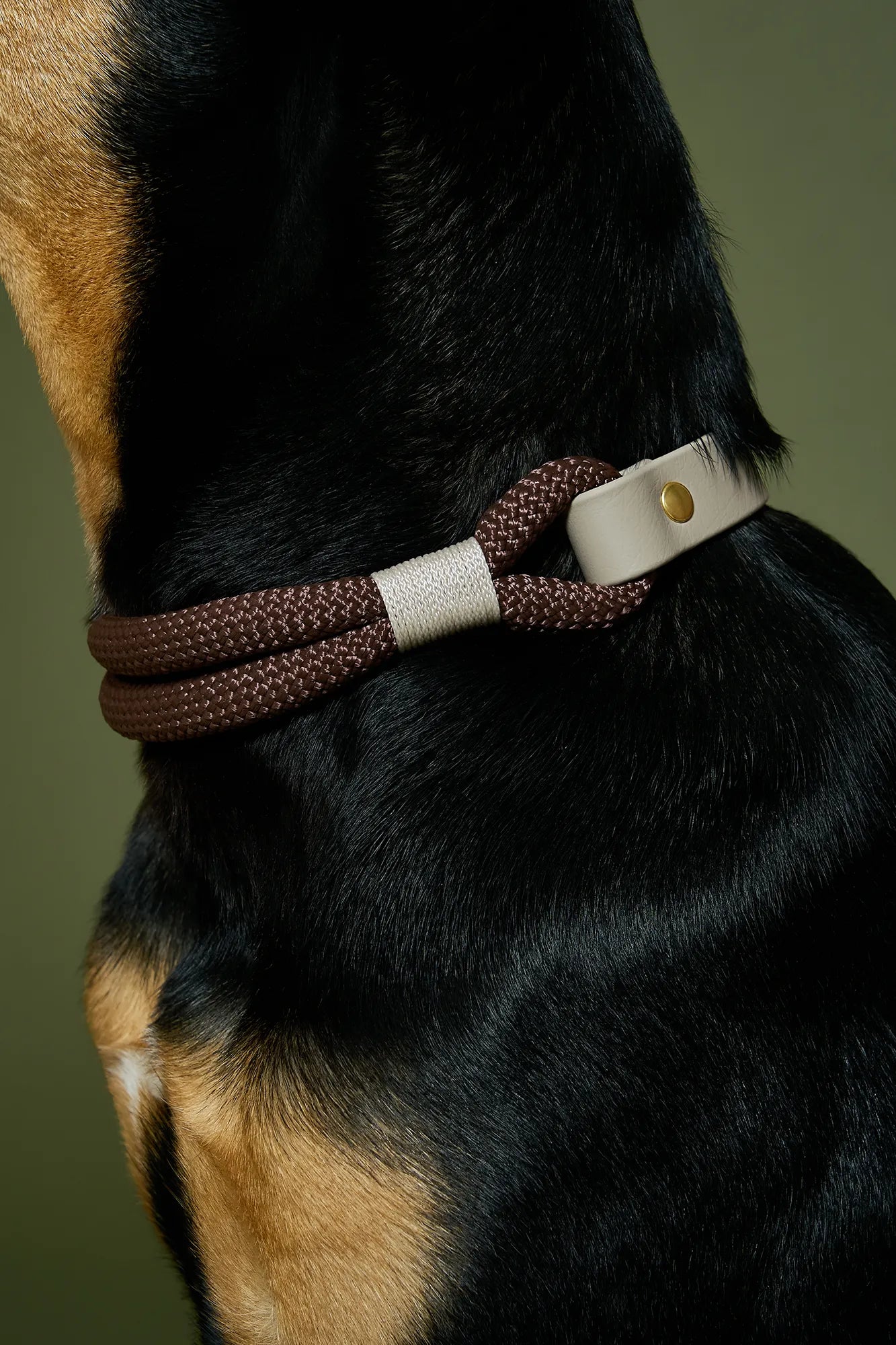 Collier Berlin