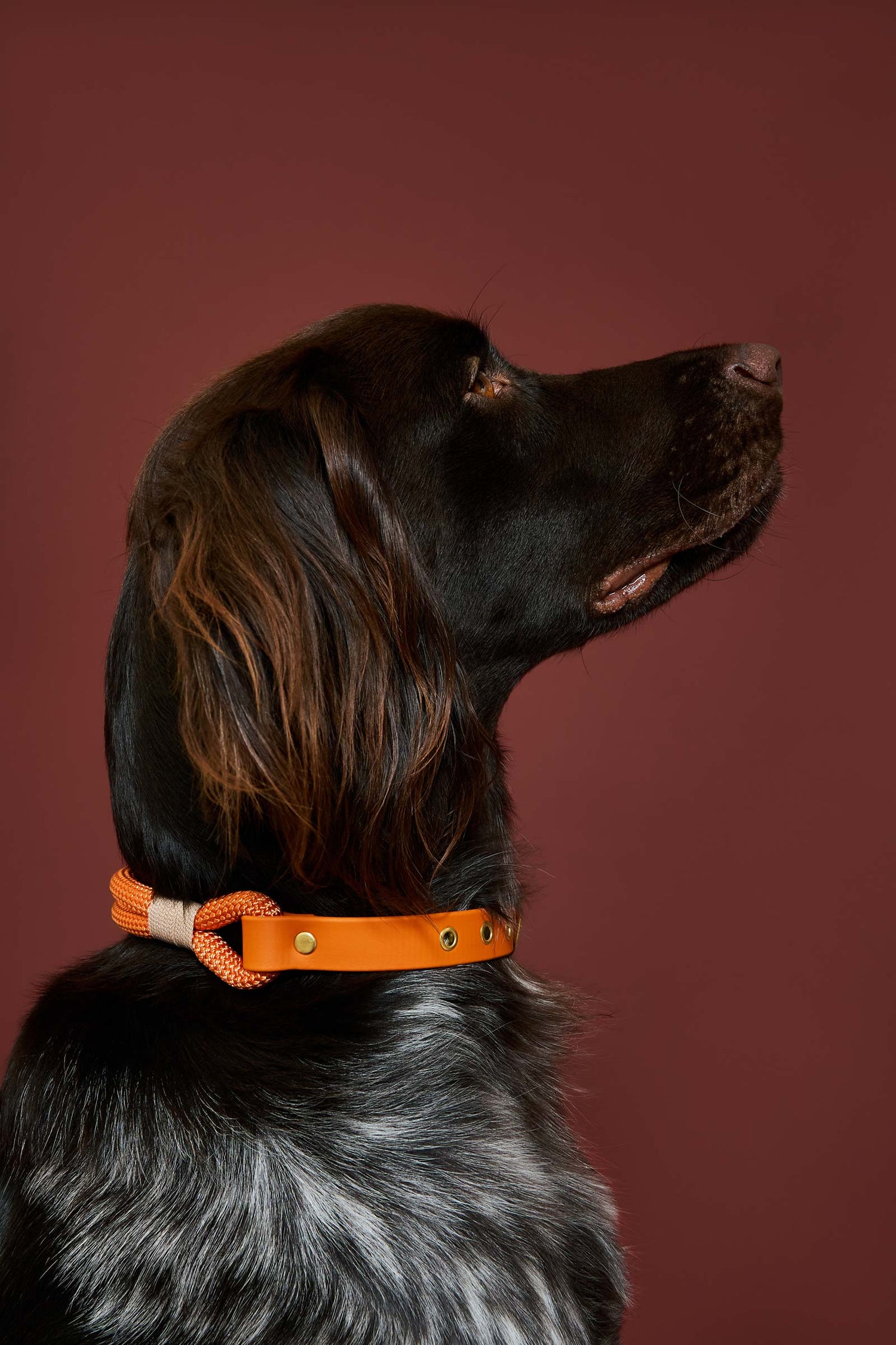 Collier Tangerine