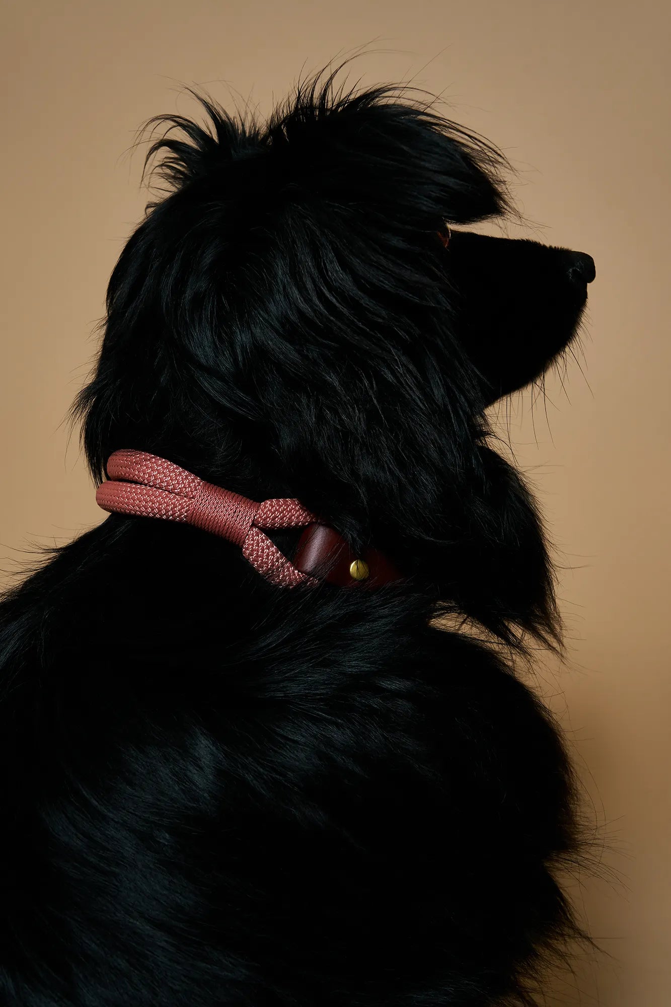 Collier Pomelo