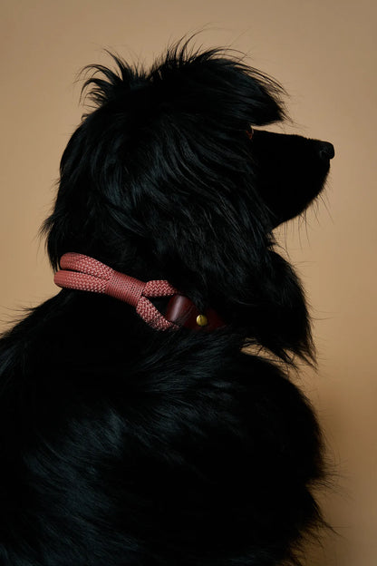 Collier Pomelo