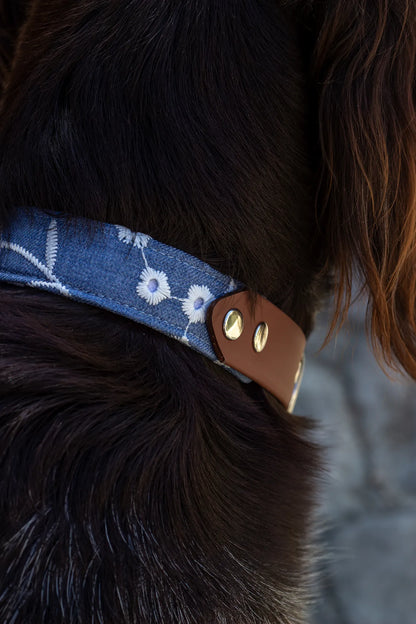Collier Gipsy