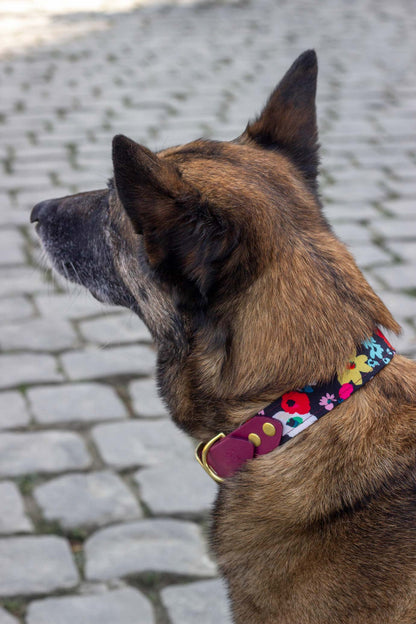 Collier Carmen