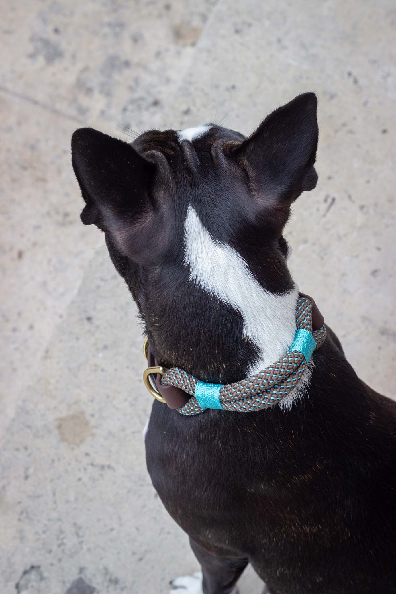 Collier Atlas
